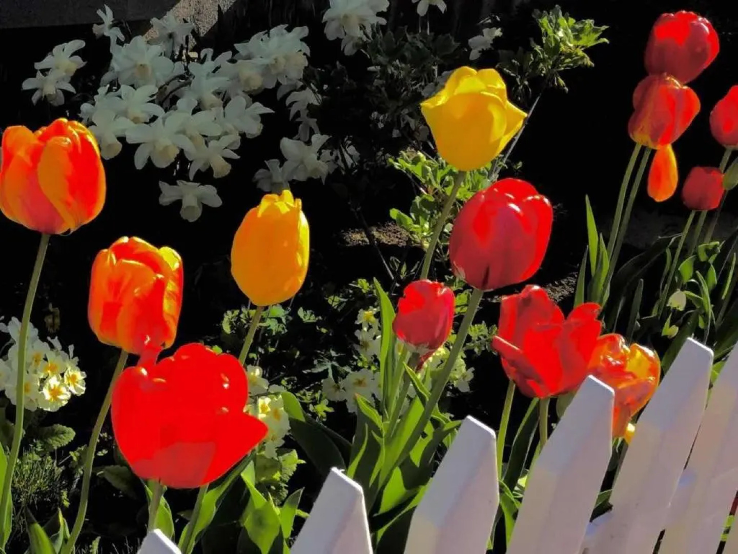 Second house TOYA / Vacation STAY 291