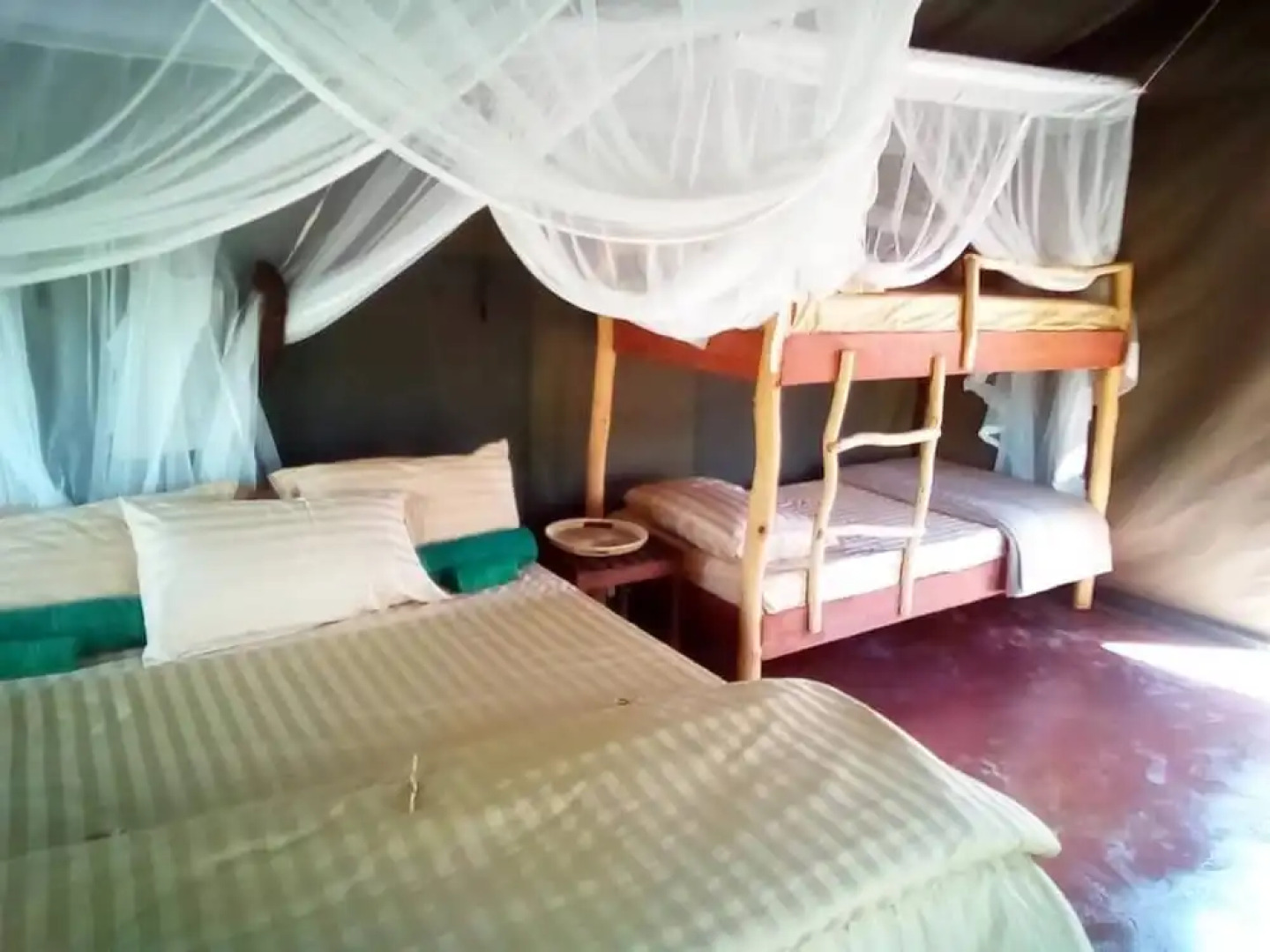 Mophy  Budget  Safari  Lagoon  Camp