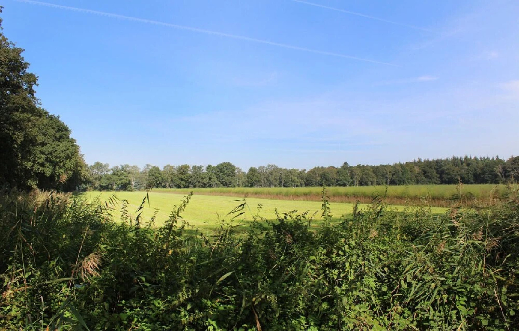 Amazing Apartment in Bockhorn With Wifi and 2 Bedrooms