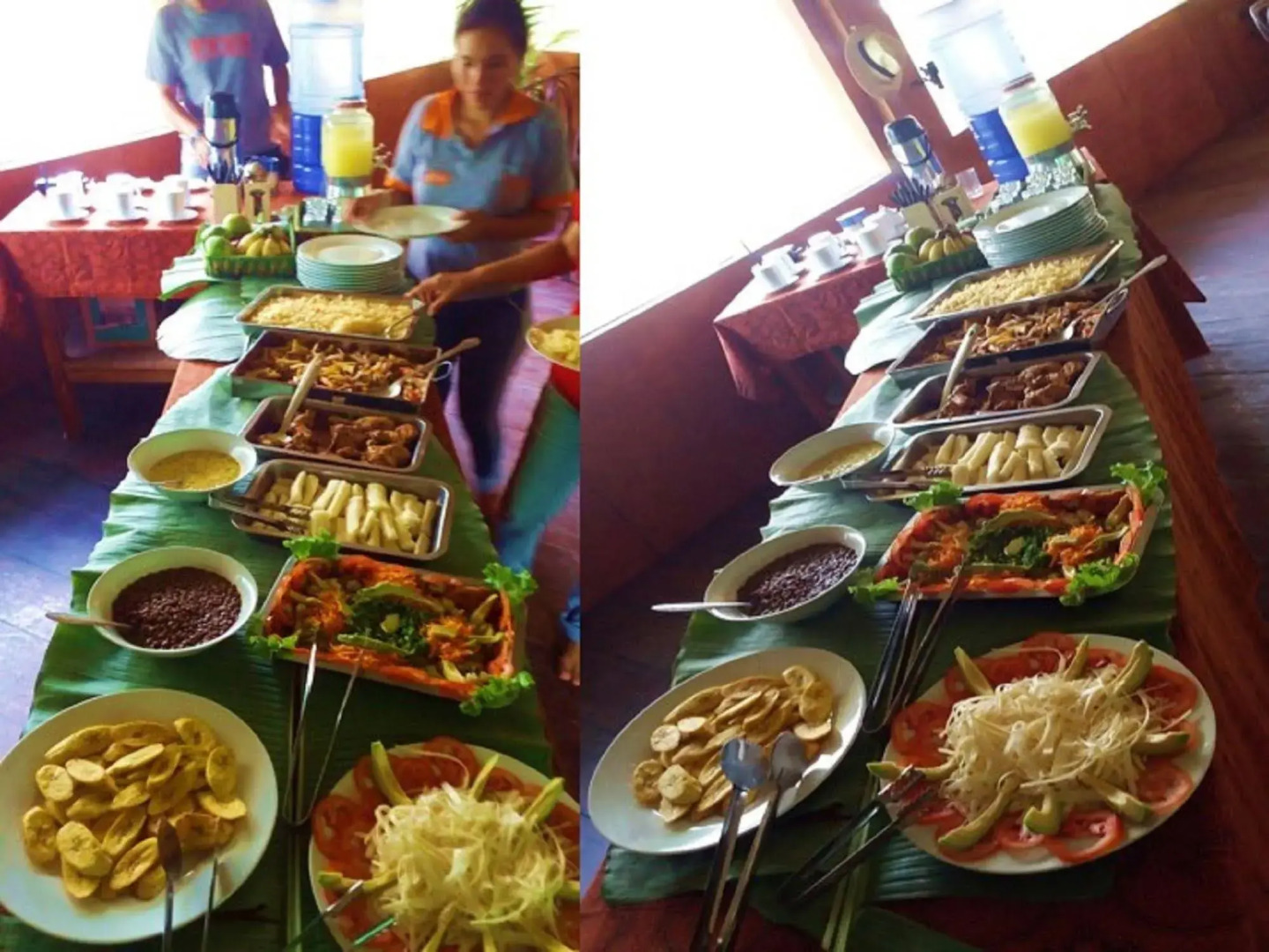 Avatar Amazon Lodge & Canopy Park