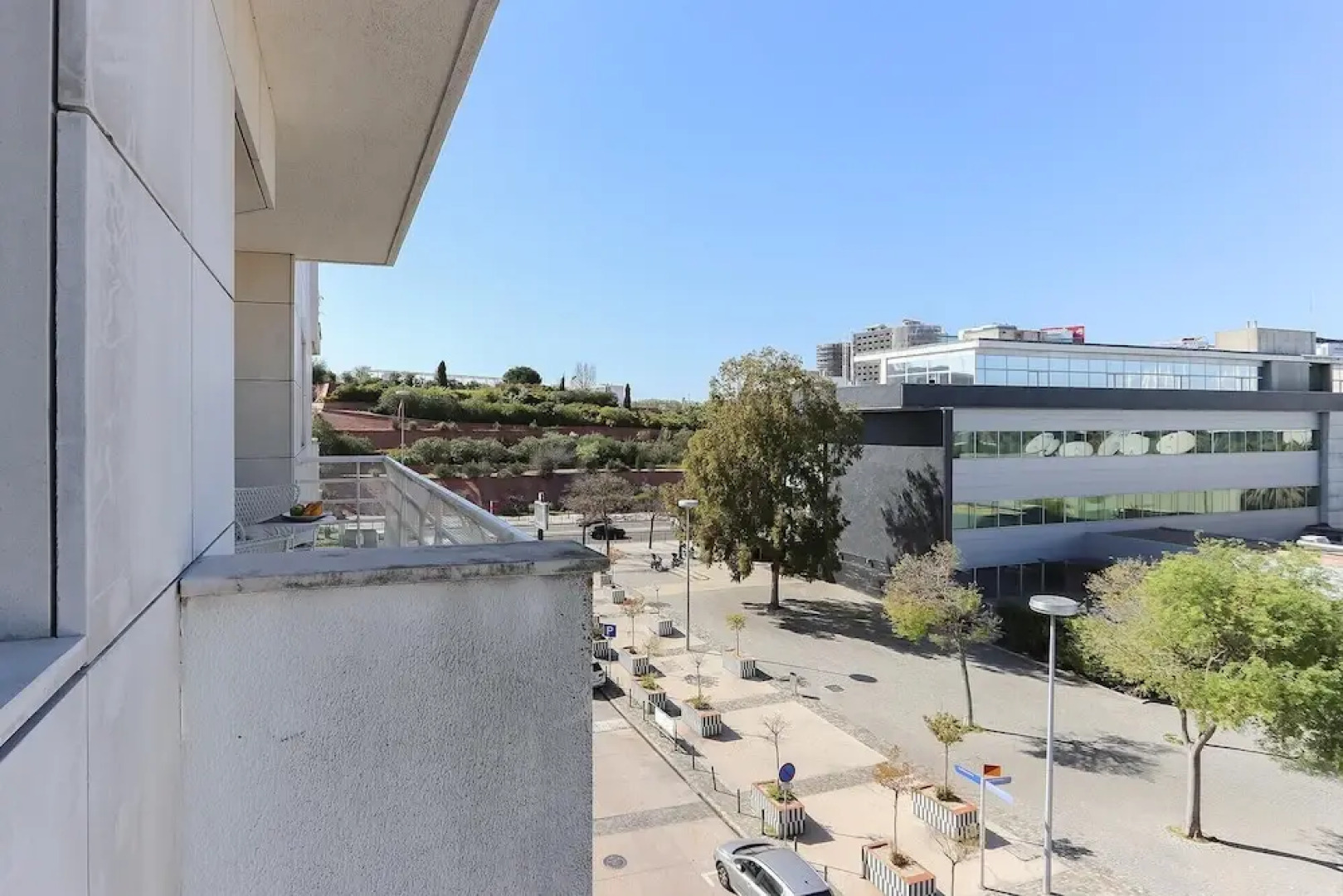 Expo Delight by Homing