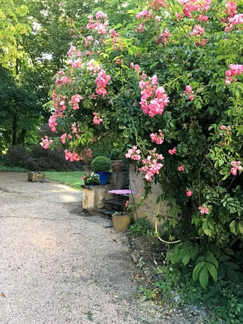 Château de Saint-Agoulin