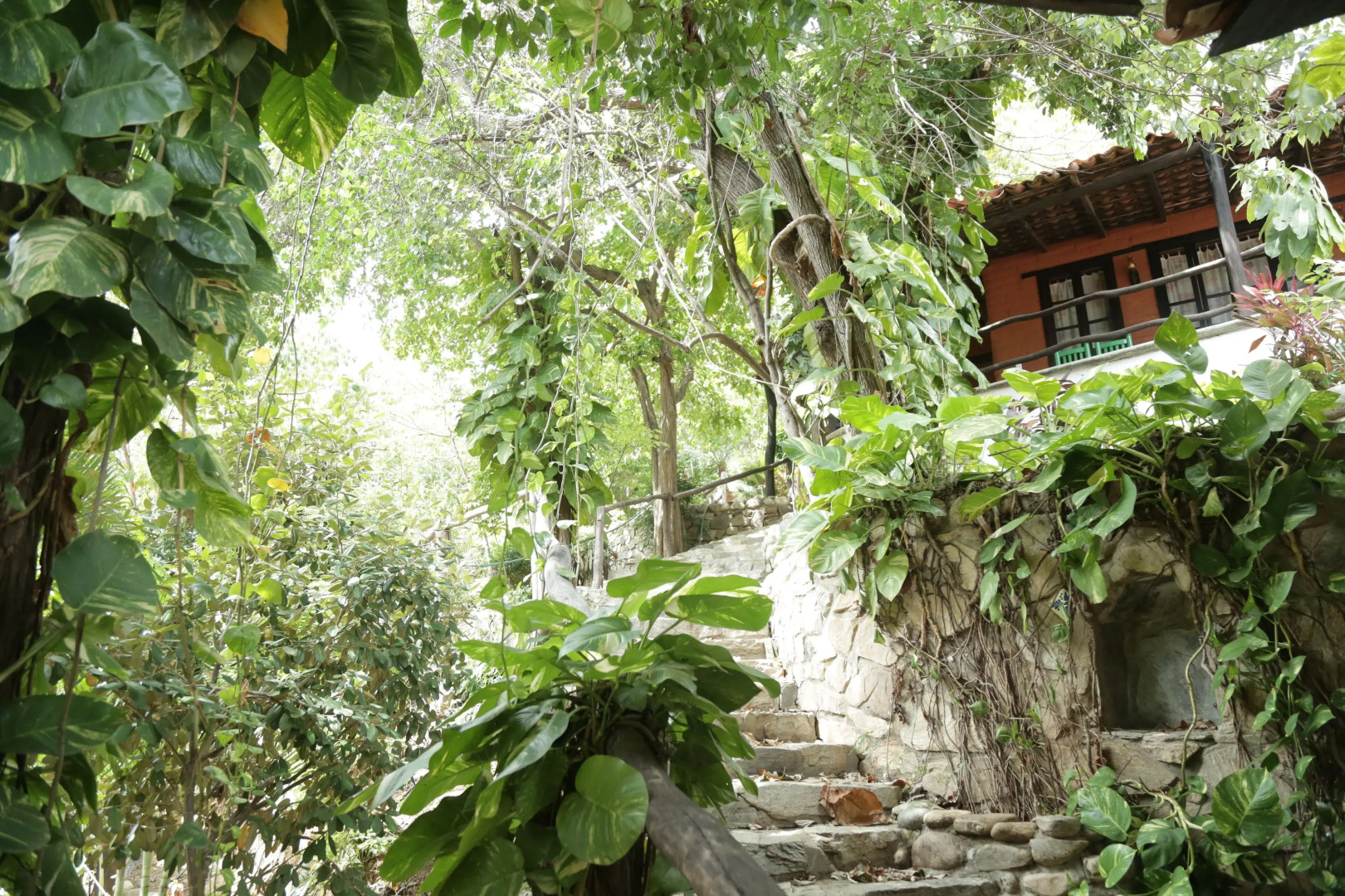 La Buena Vista