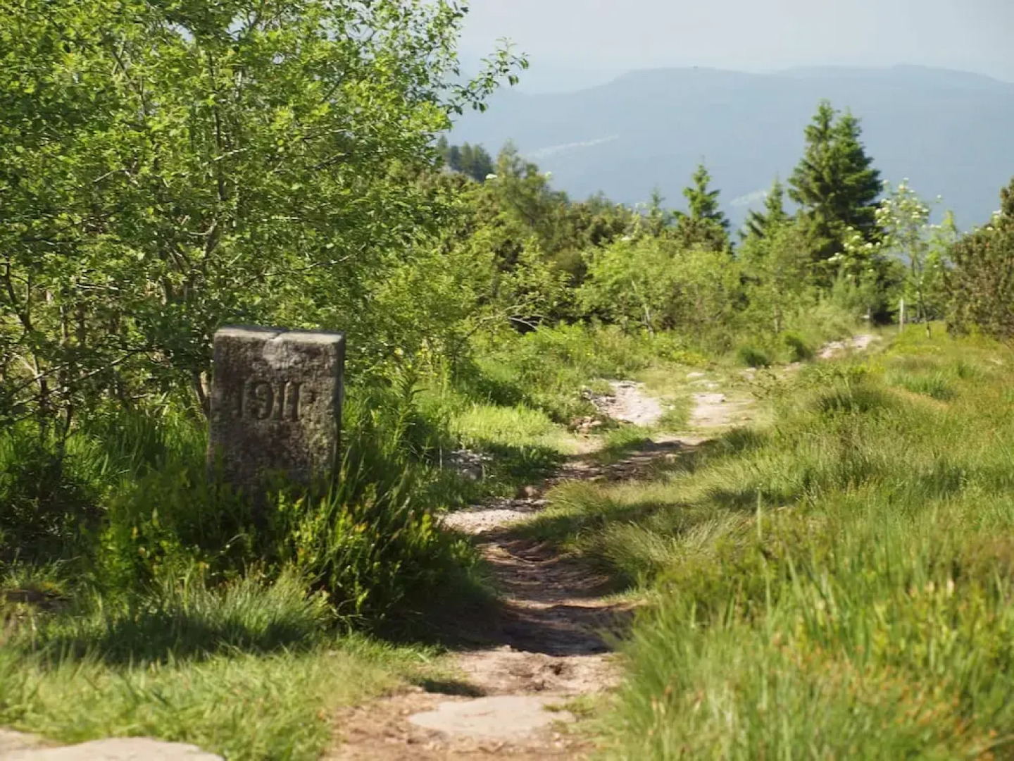 Wellness- & Nationalpark Hotel Schliffkopf, BWSC