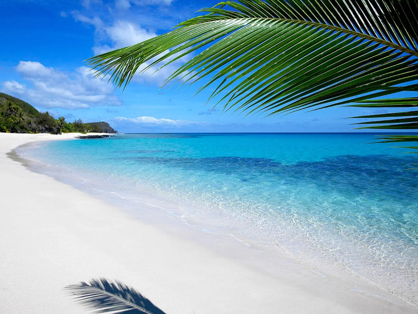 Barefoot Manta Island Resort and Marine Sanctuary