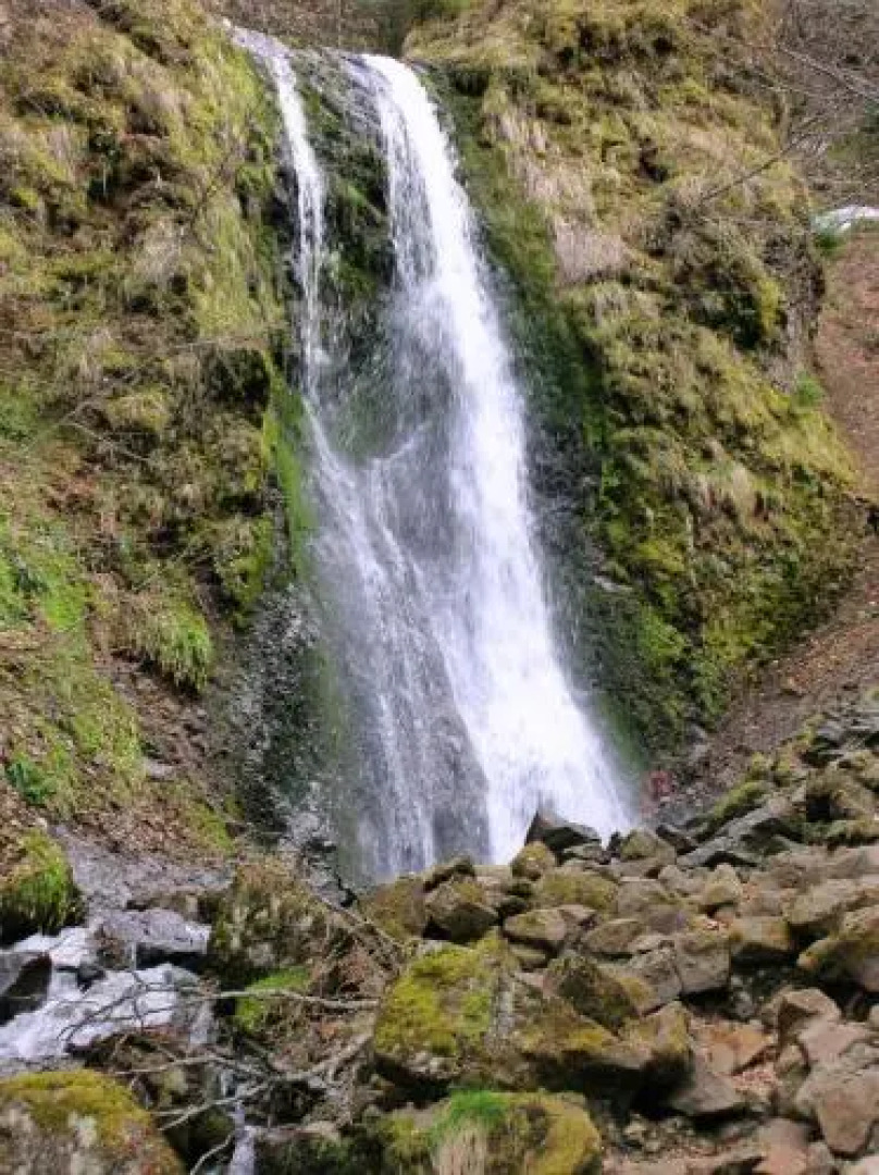 le monne (dit la fermette )