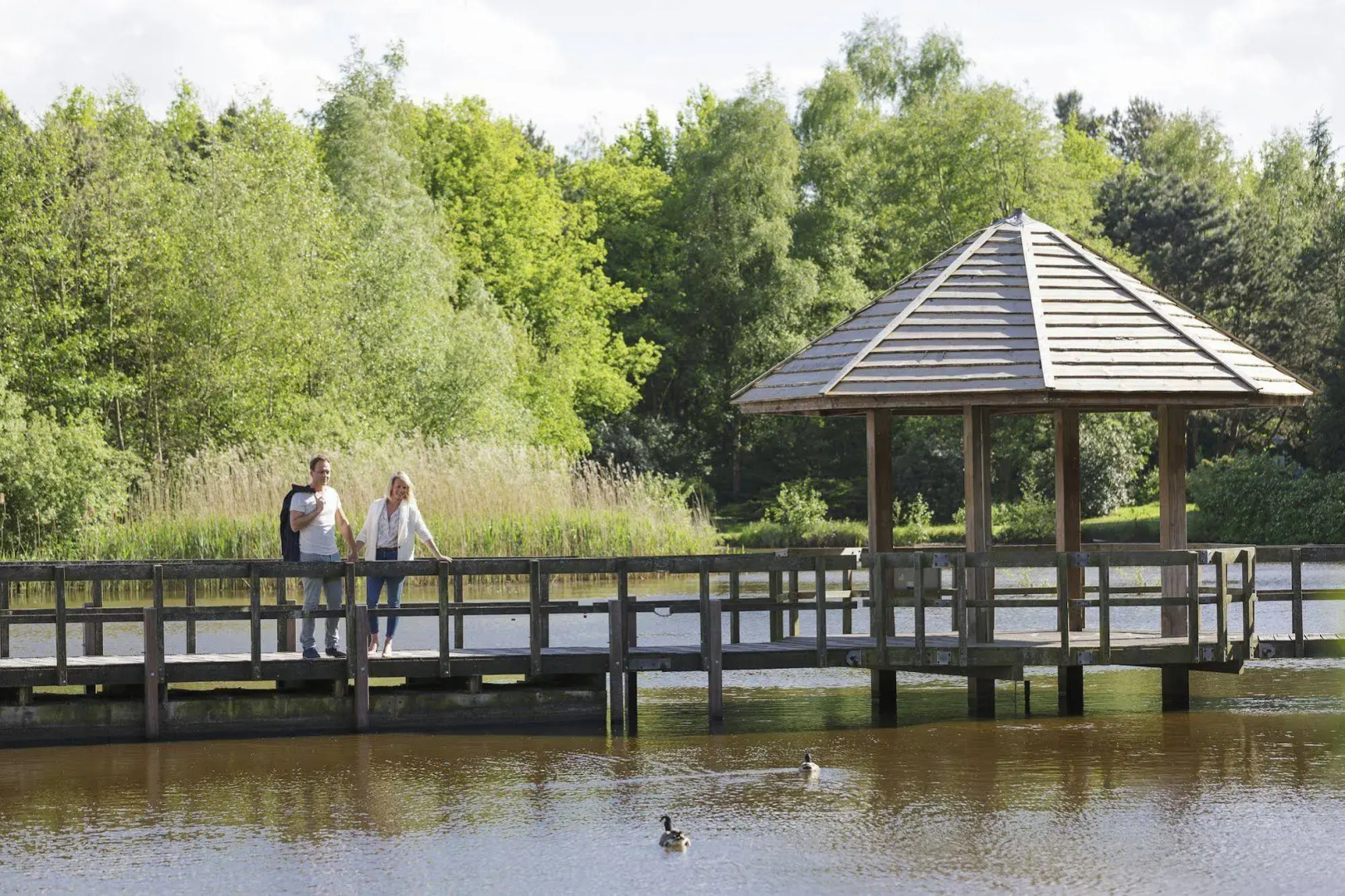 Center Parcs Limburgse Peel