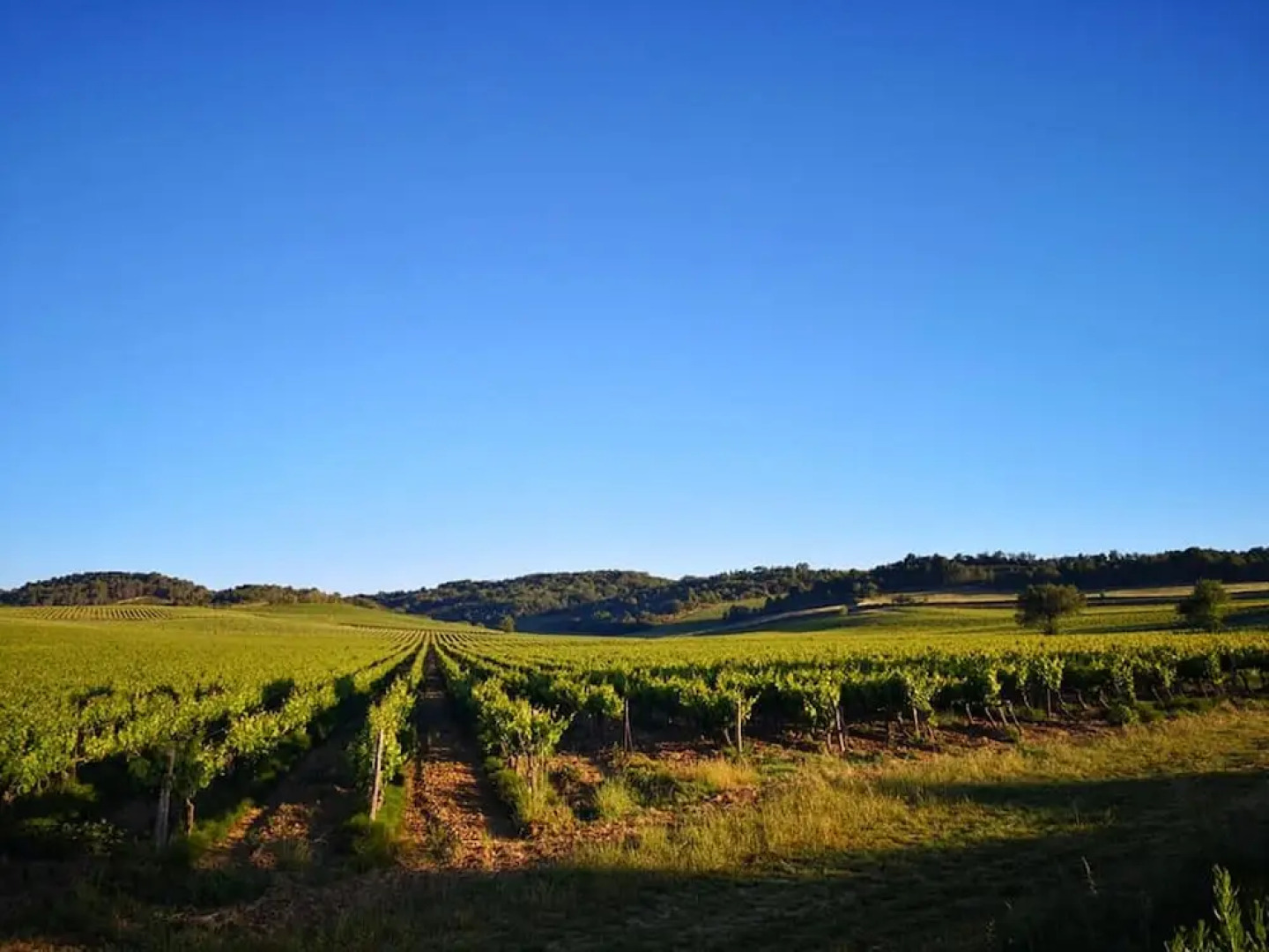 House With 4 Bedrooms in Loupia, With Furnished Garden - 70 km From the Slopes