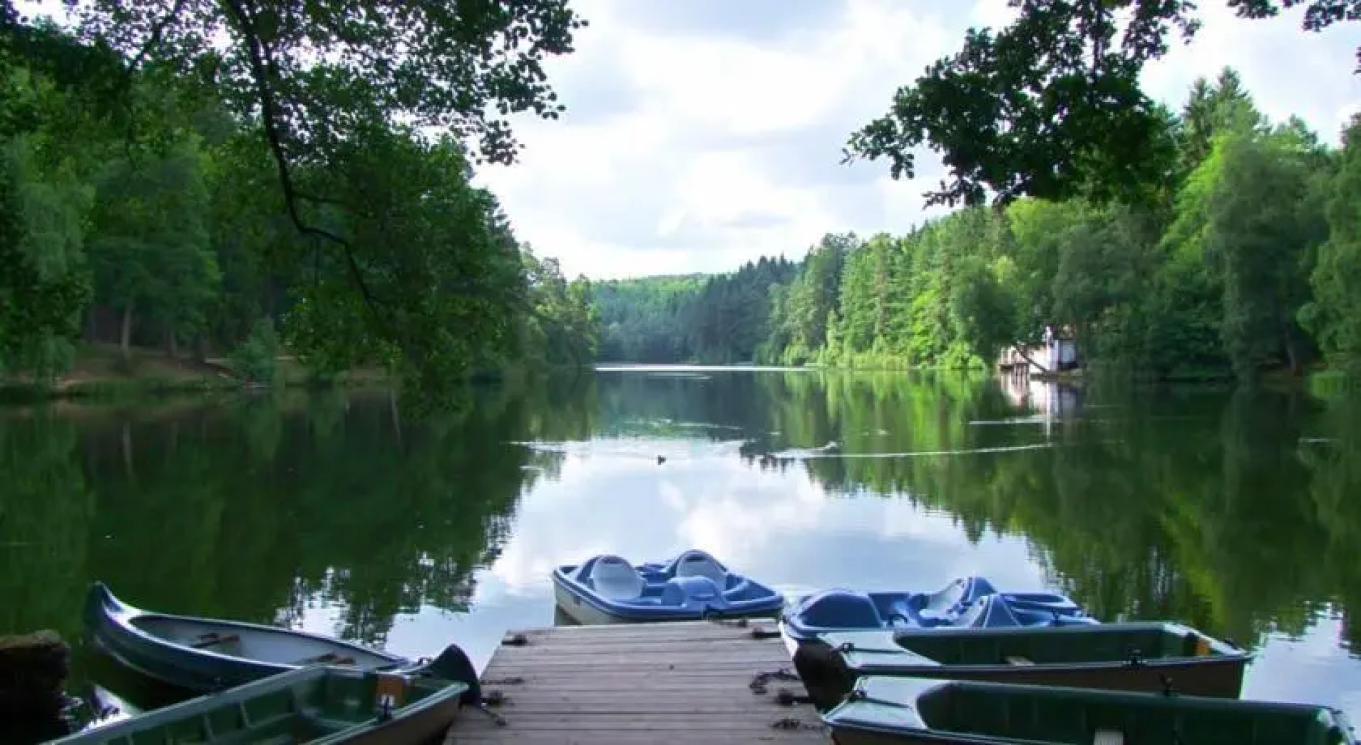Gite du Moulin de la Schwingmulhe