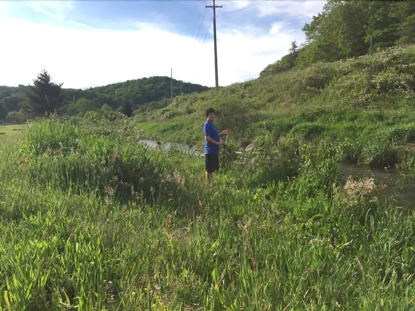 Riverside Log Cabins