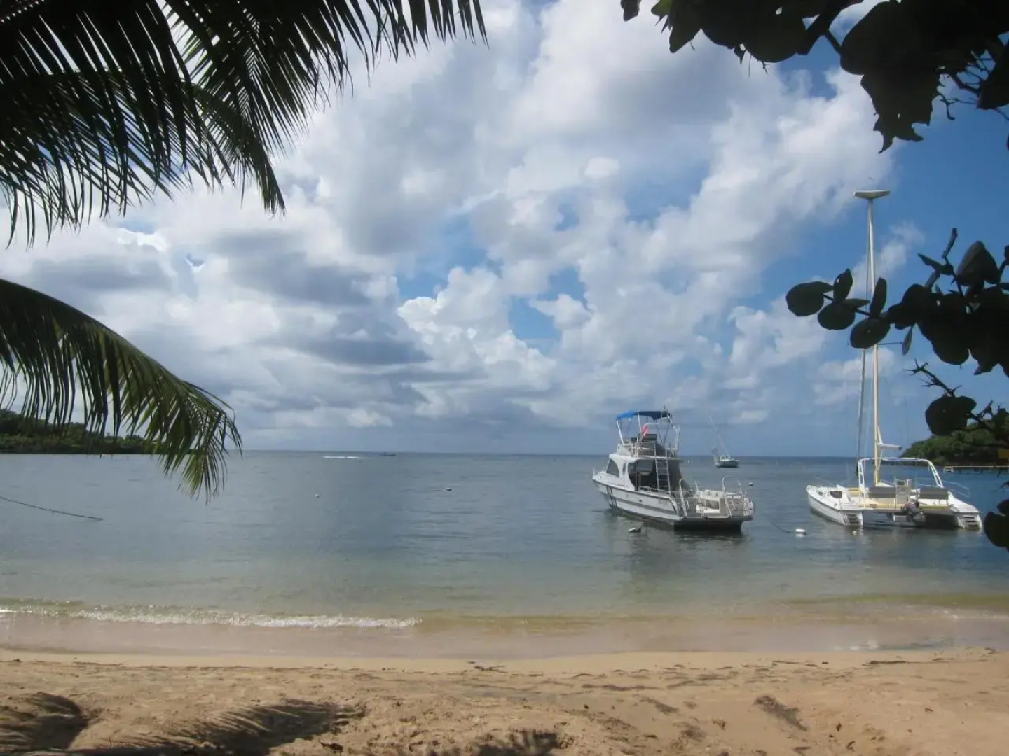 Hotel Chillies and Native Sons Diving