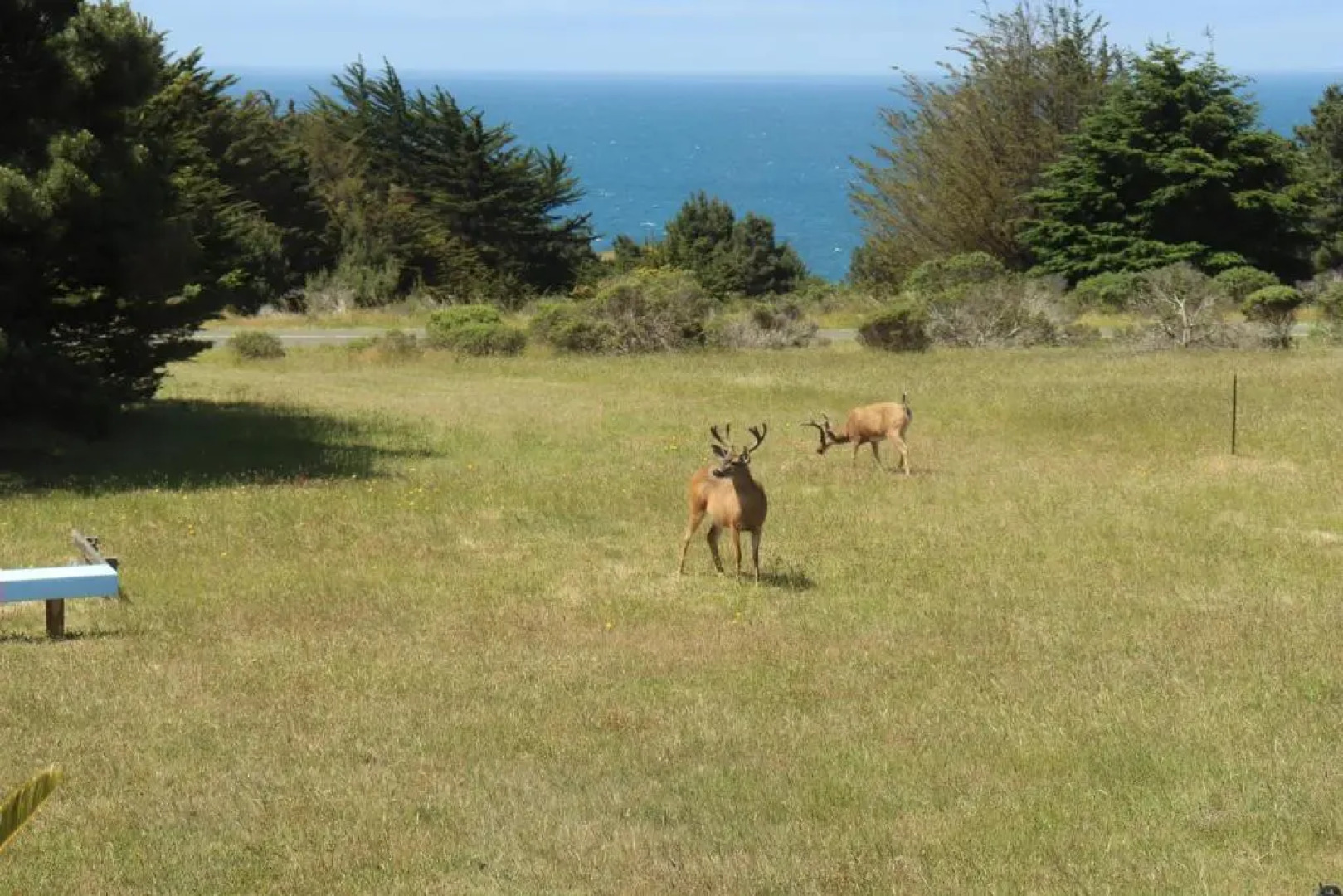 Cozy Getaway with Ocean View and Private Entrance!