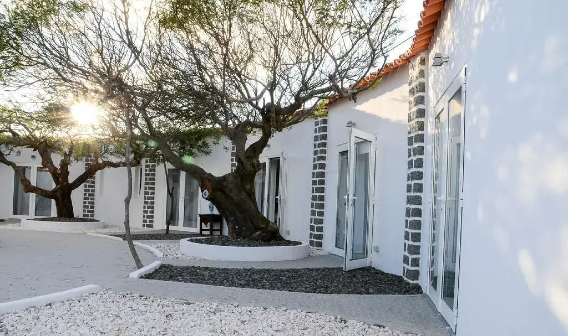 Pura Vida Atlantic Lodge