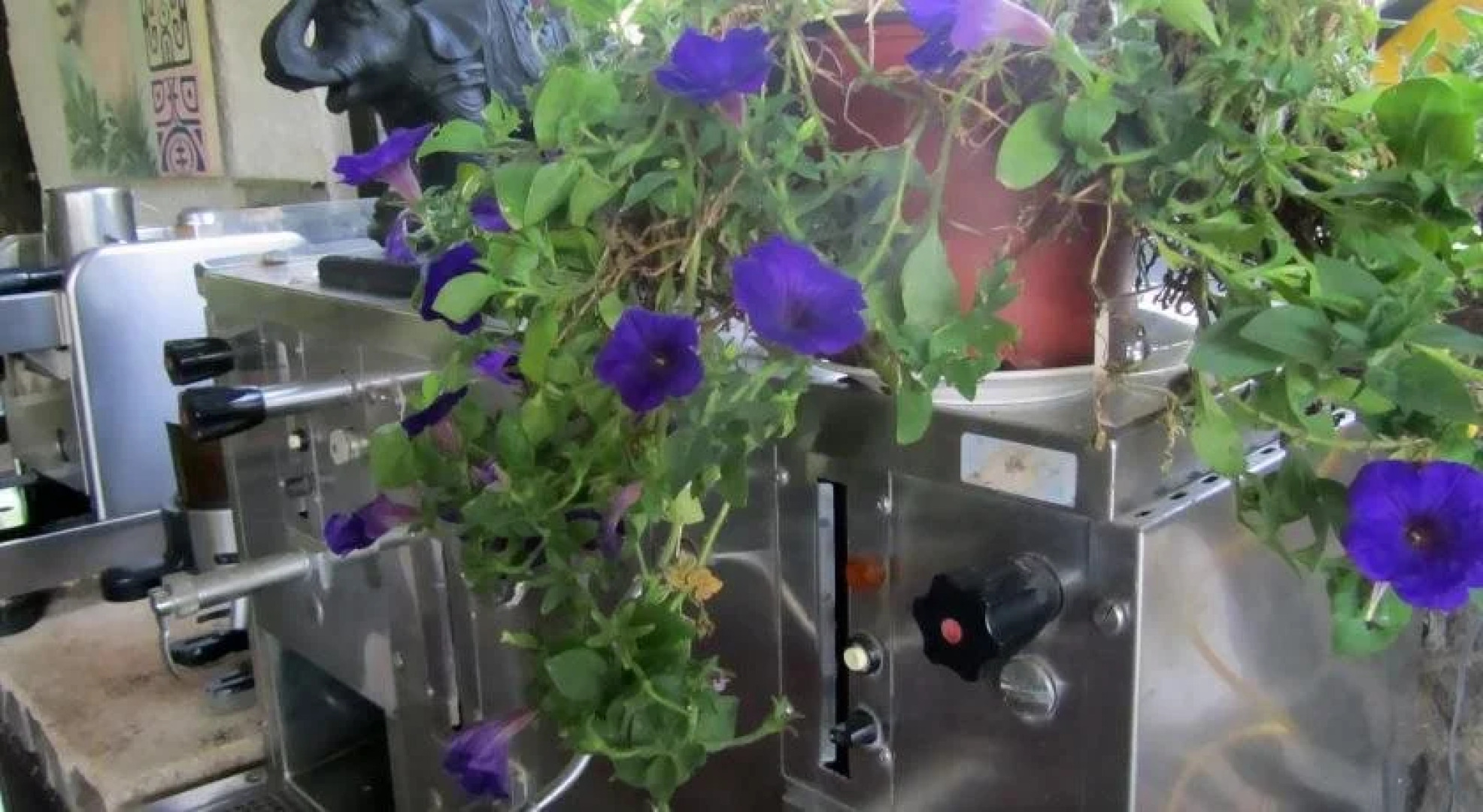 Paraiso del Cocodrilo