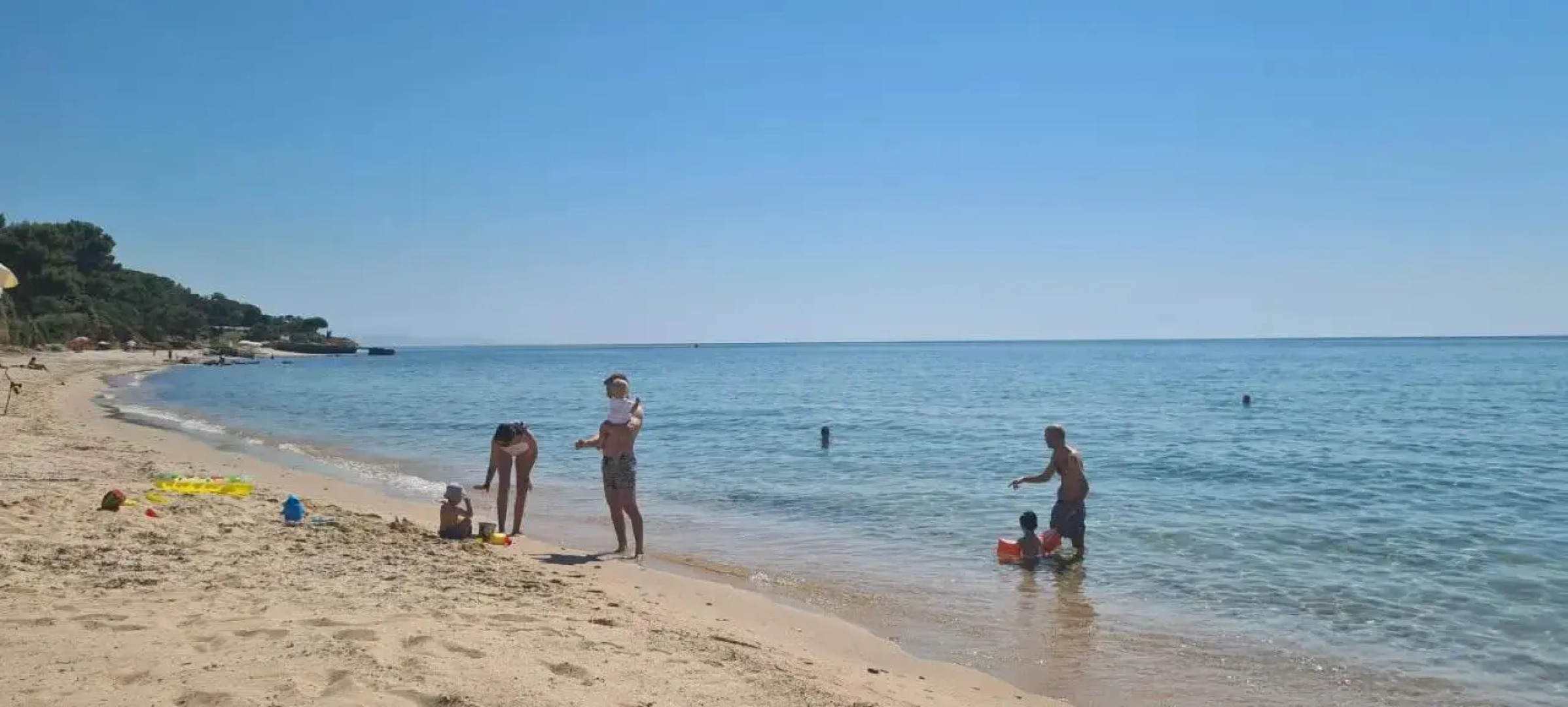 Jungle House - Pineta Is Morus