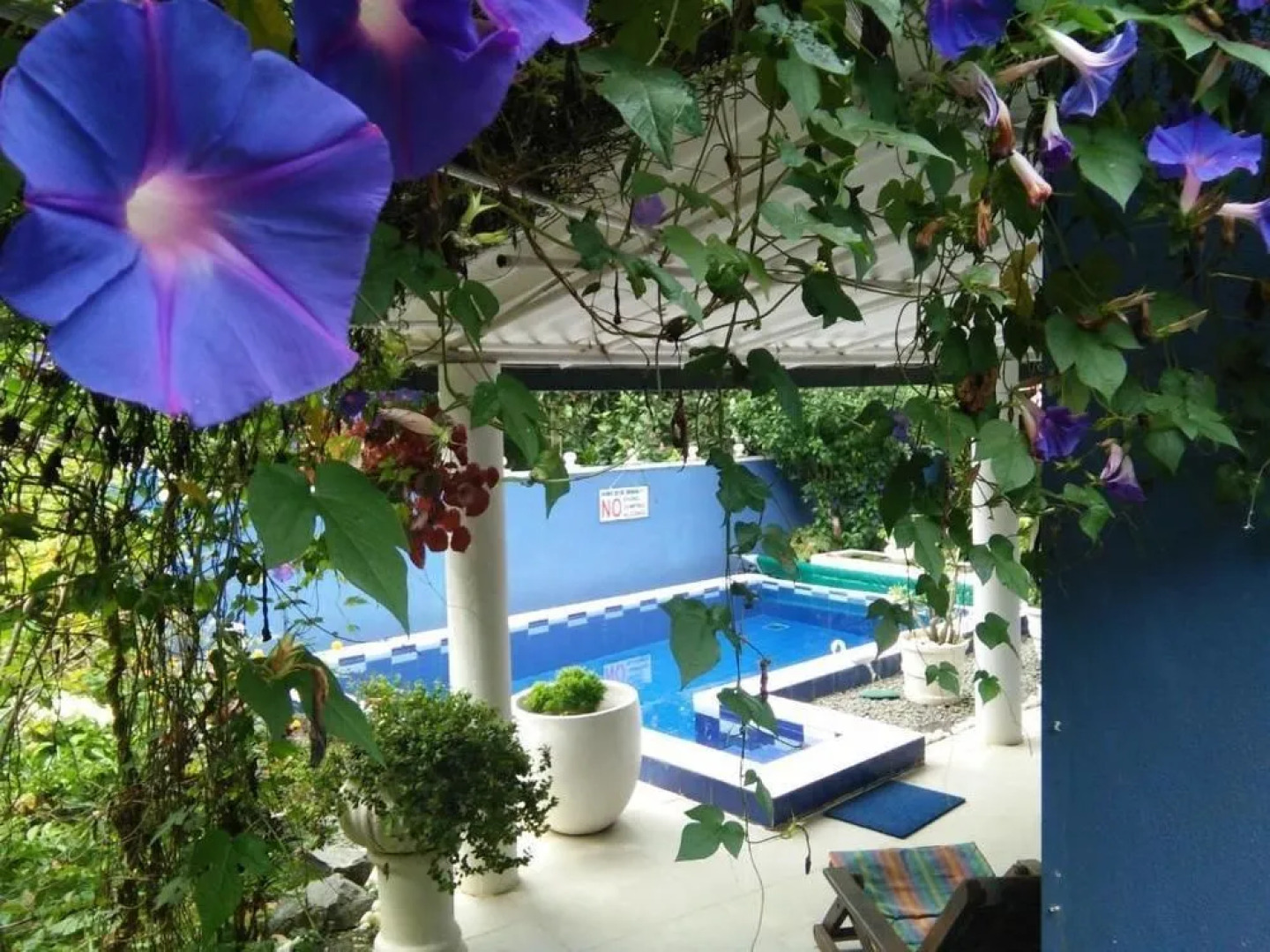 Abha Villa with Private pool