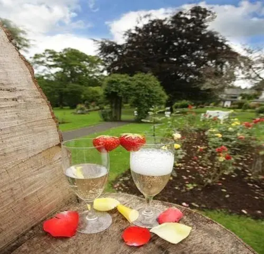 Twin Trees Hotel & Leisure Club