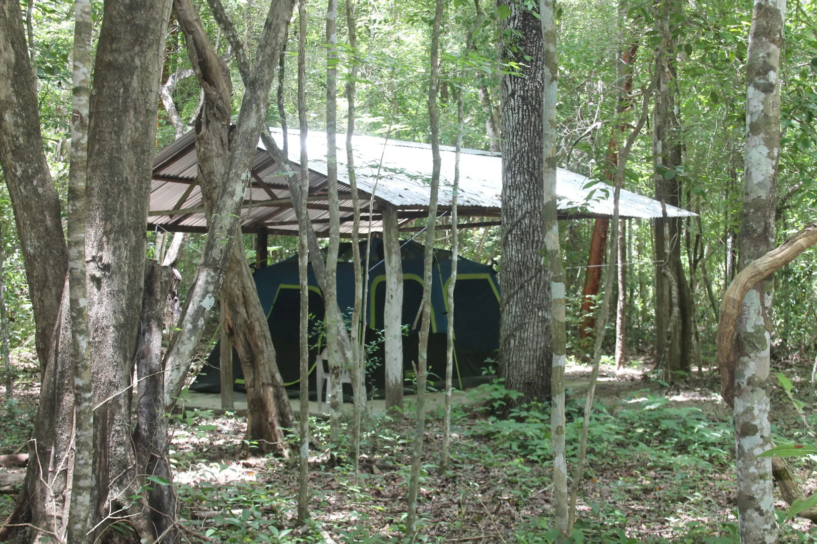 Campamento Yaaxche en Calakmul
