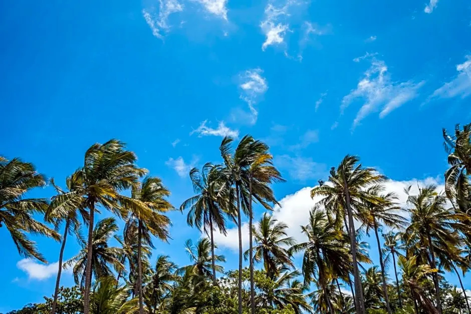 Capricorn Beach Cottages
