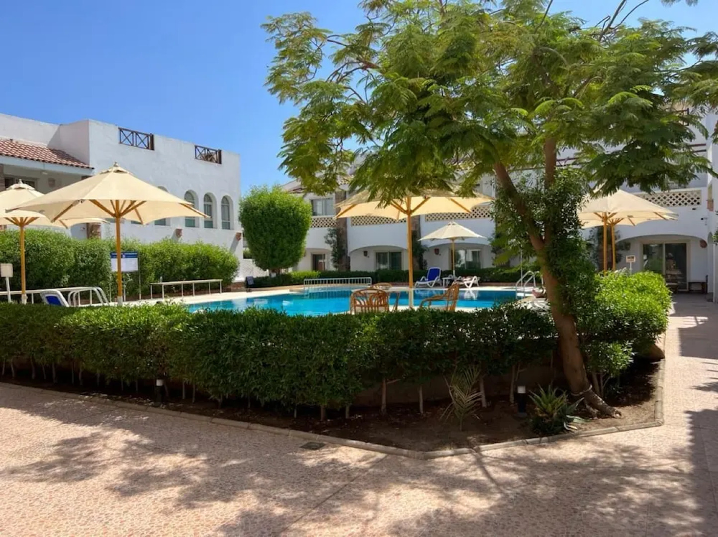 Camel Dive Club & Hotel