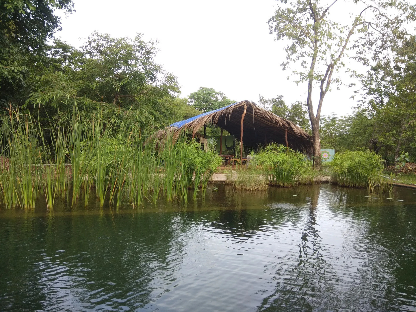 Dudhsagar Plantation