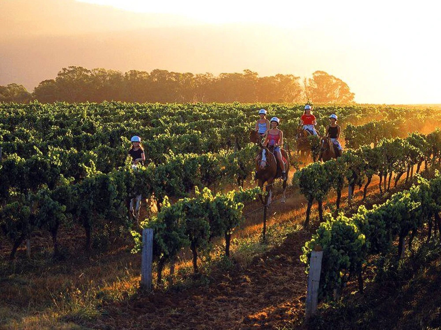 An Ideal Wine Country Getaway Villa