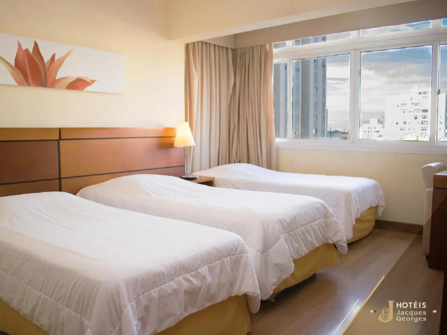 Hotel Jacques Georges Business