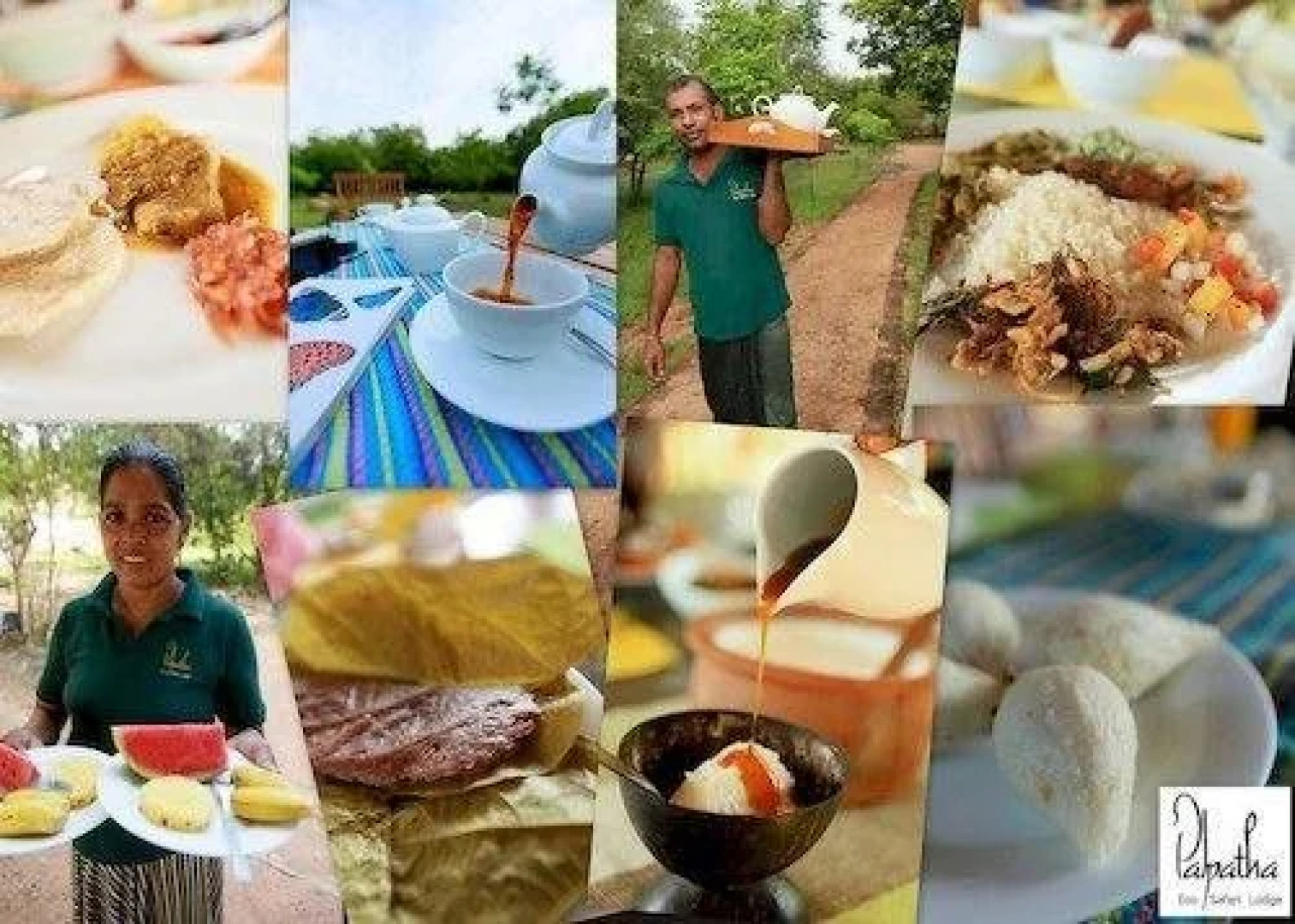 Palpatha Eco Safari Lodge