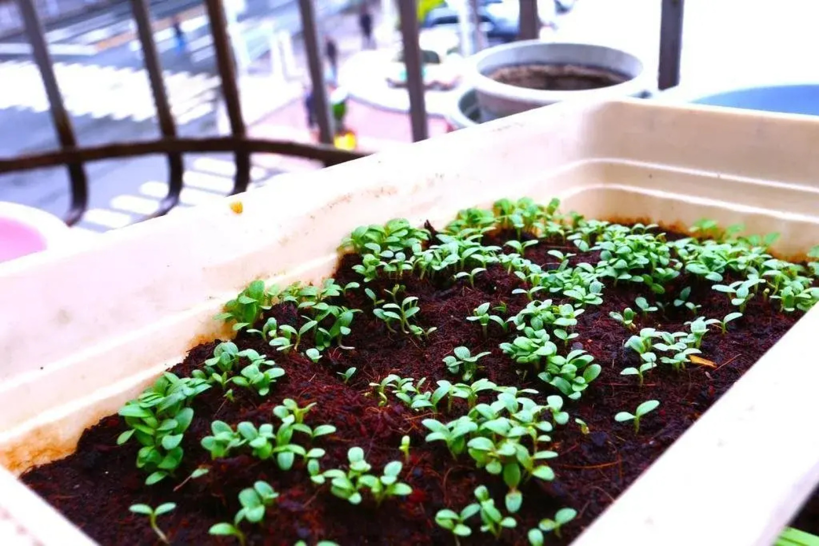 Lanzhou Manxingji Youth Hostel