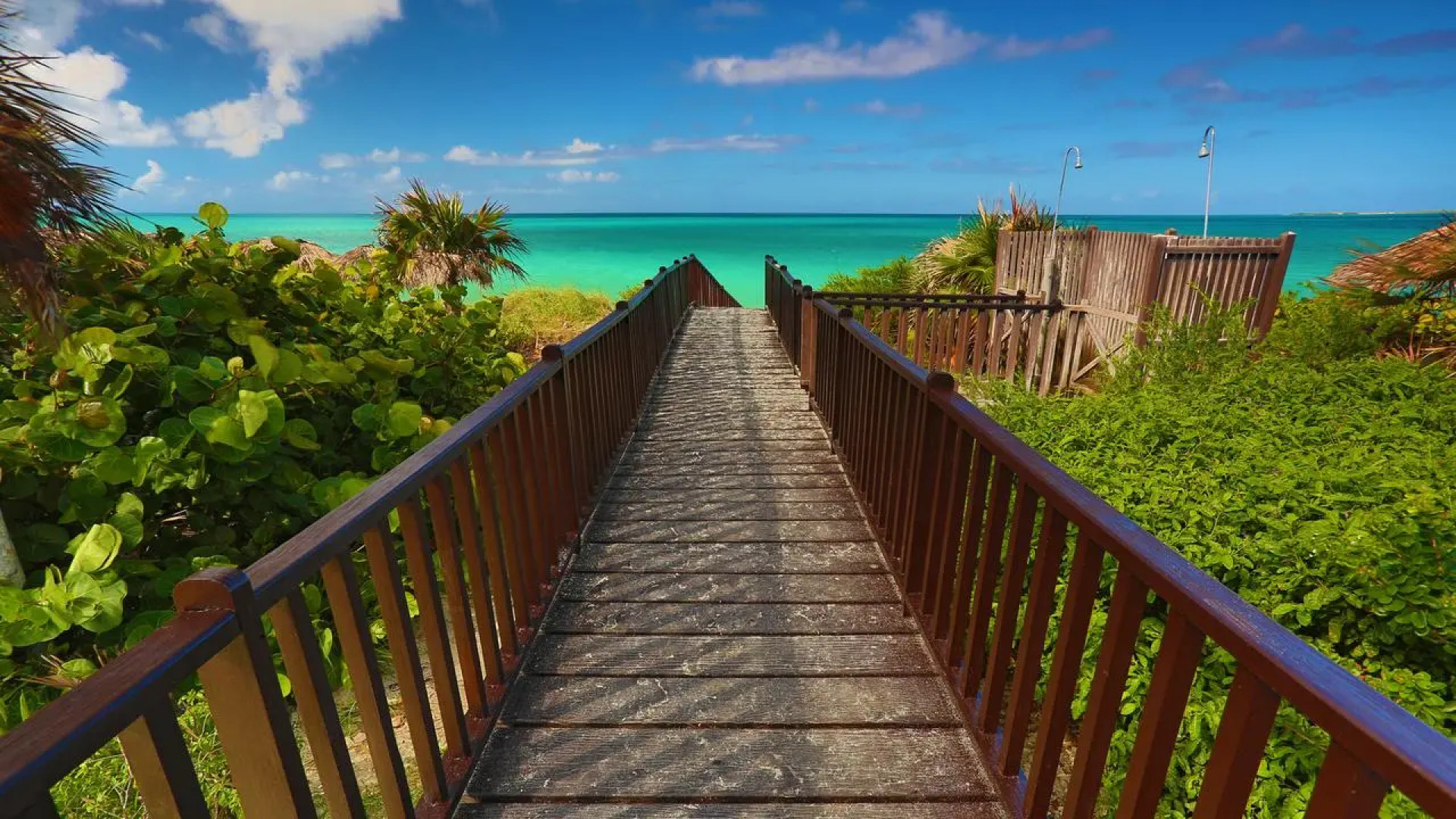 Valentin Perla Blanca