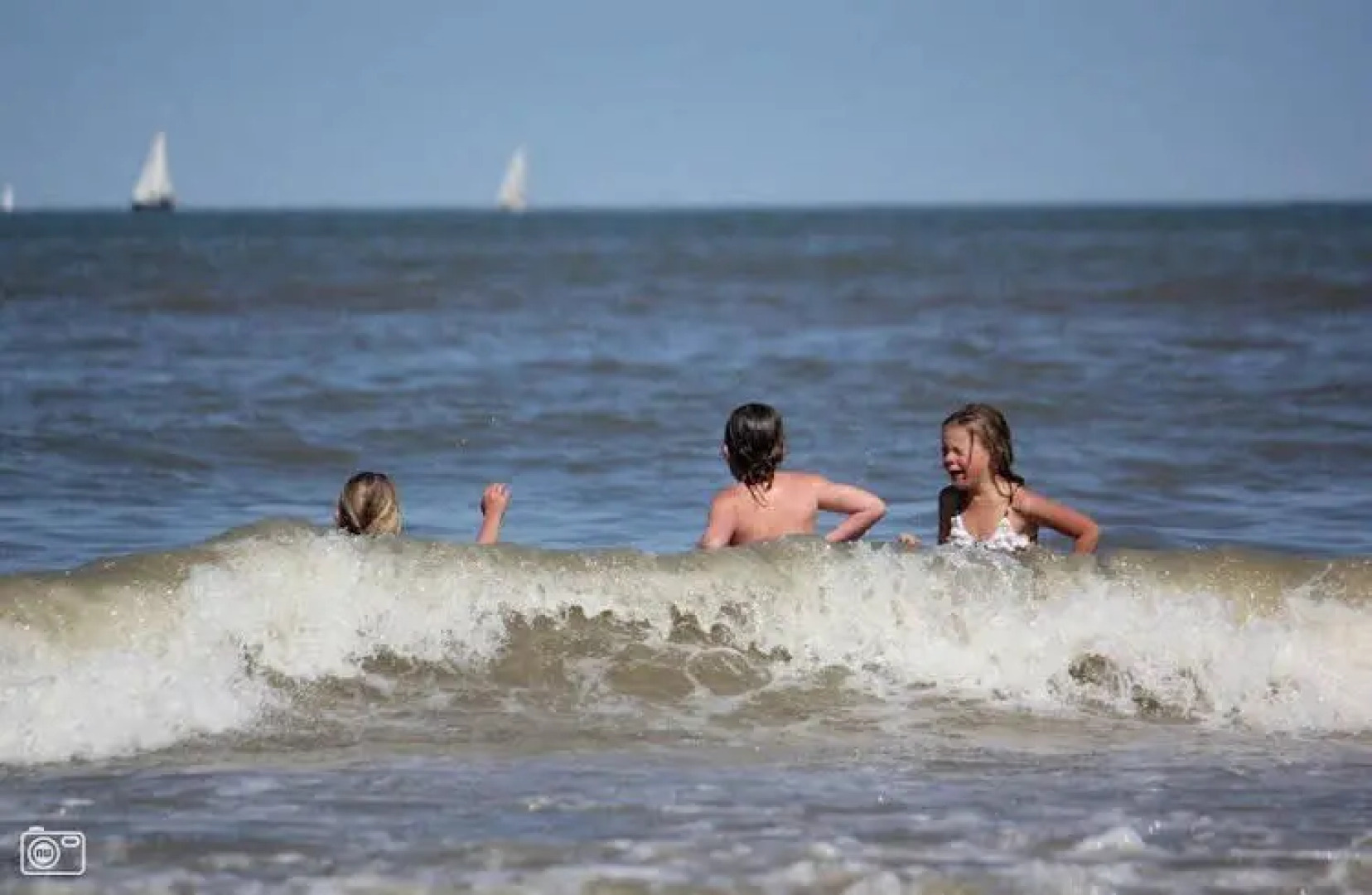 Appartement en Studio Papillon