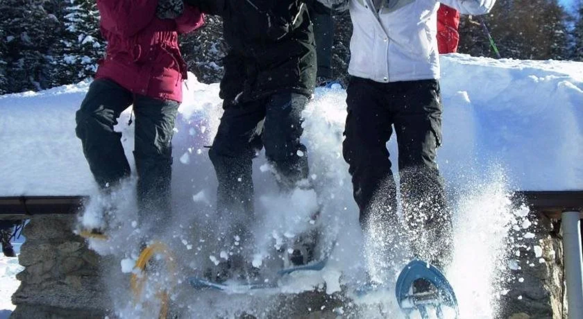 Casa del Parco dellAdamello di Vezza dOglio