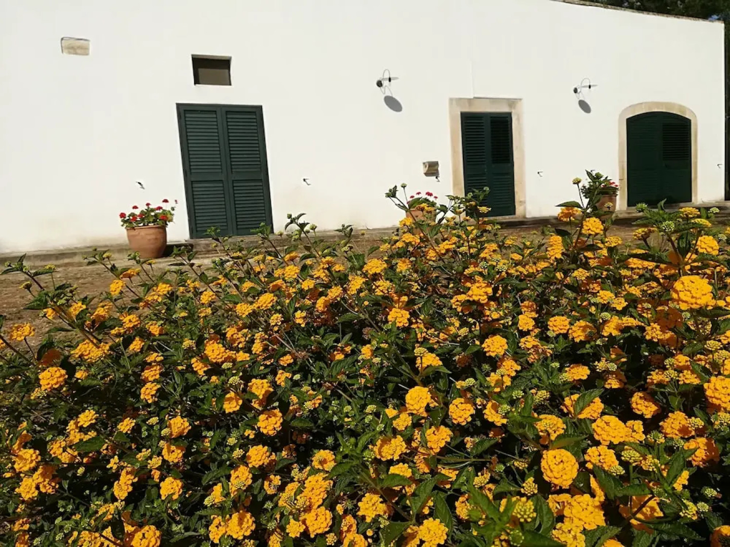 Masseria Fracchicchi