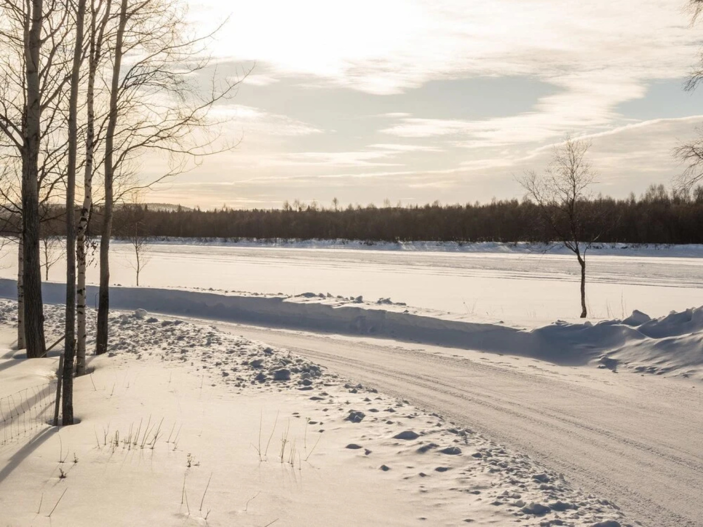 Pihlaja Inari in Inari