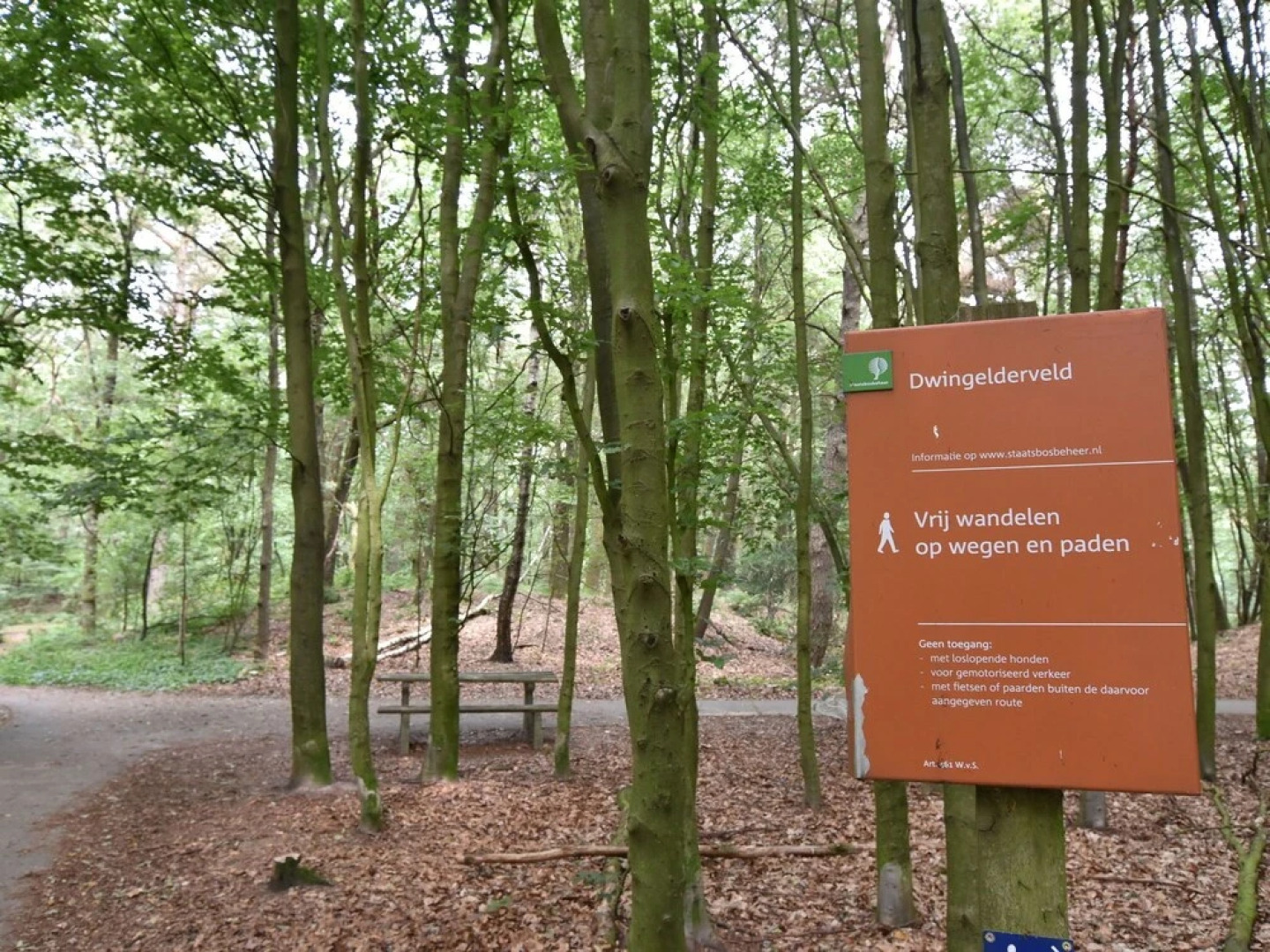 Lovely Apartment with Nice, Vast Views Located in Dwingeloo - Dogs Welcome!