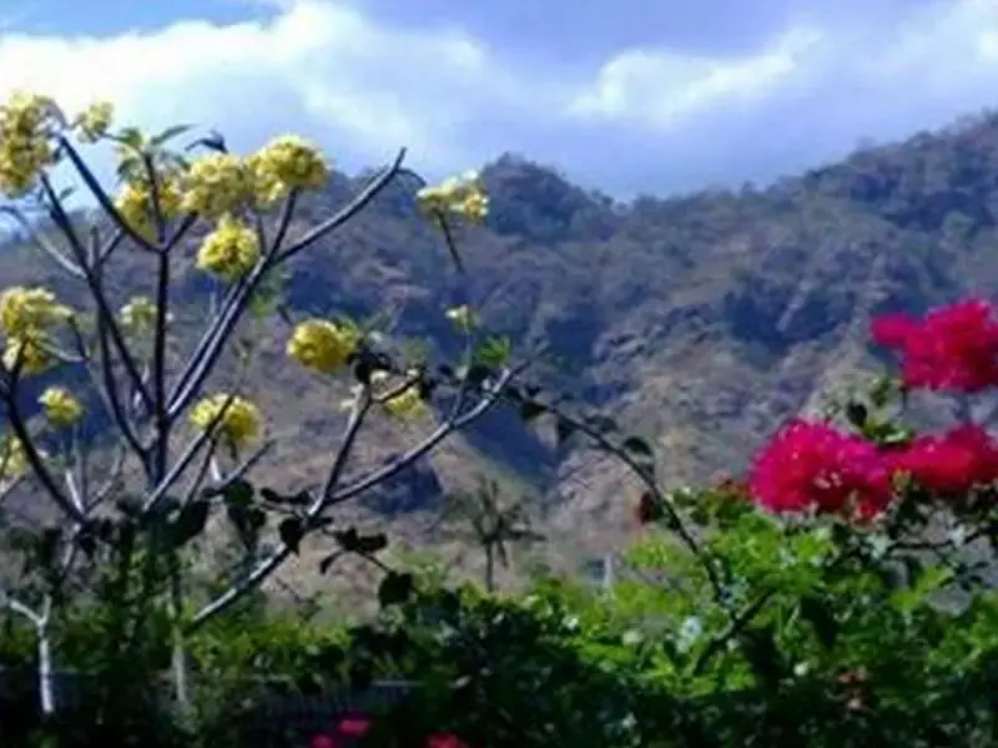 Gunung Mas Pemuteran