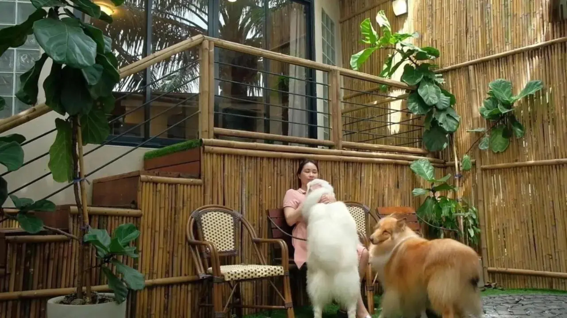 The Country Lake View Hotel