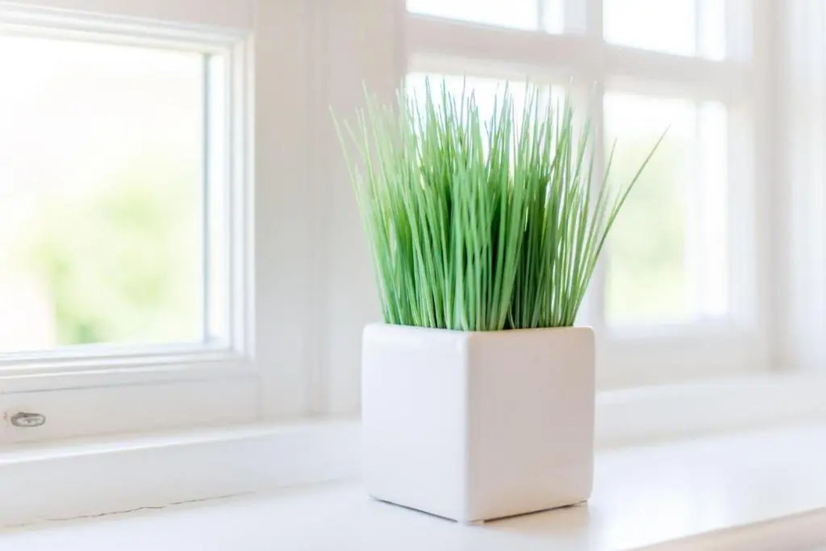 Whg_ 4_ Nuur Hiir Hues