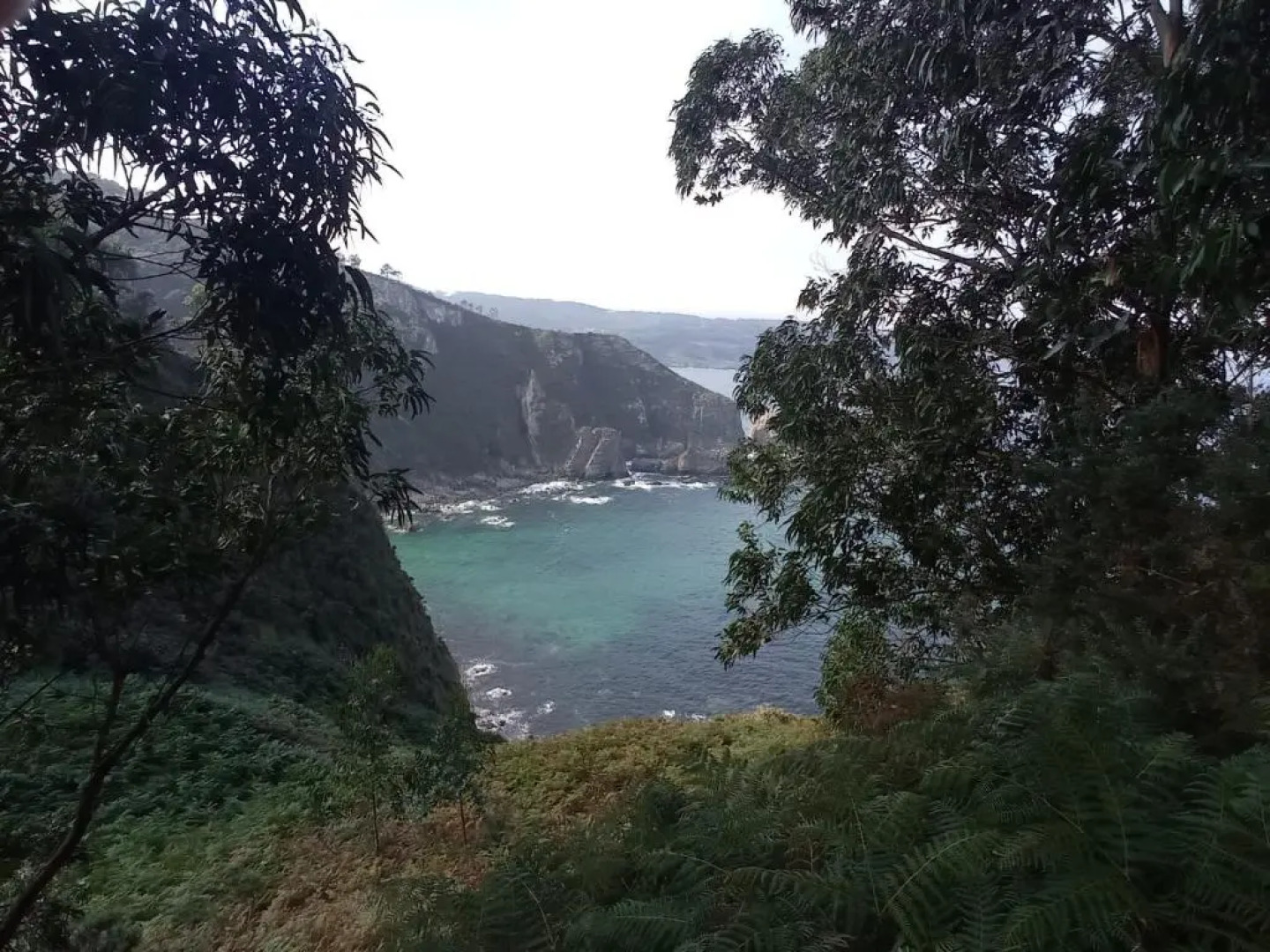 Duerming Family Viveiro 4 Rooms