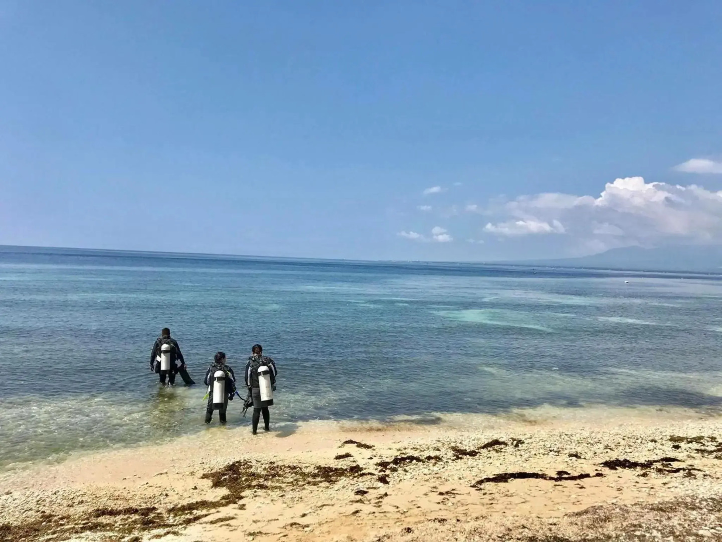 Southseas Beach Resort and Dive Center