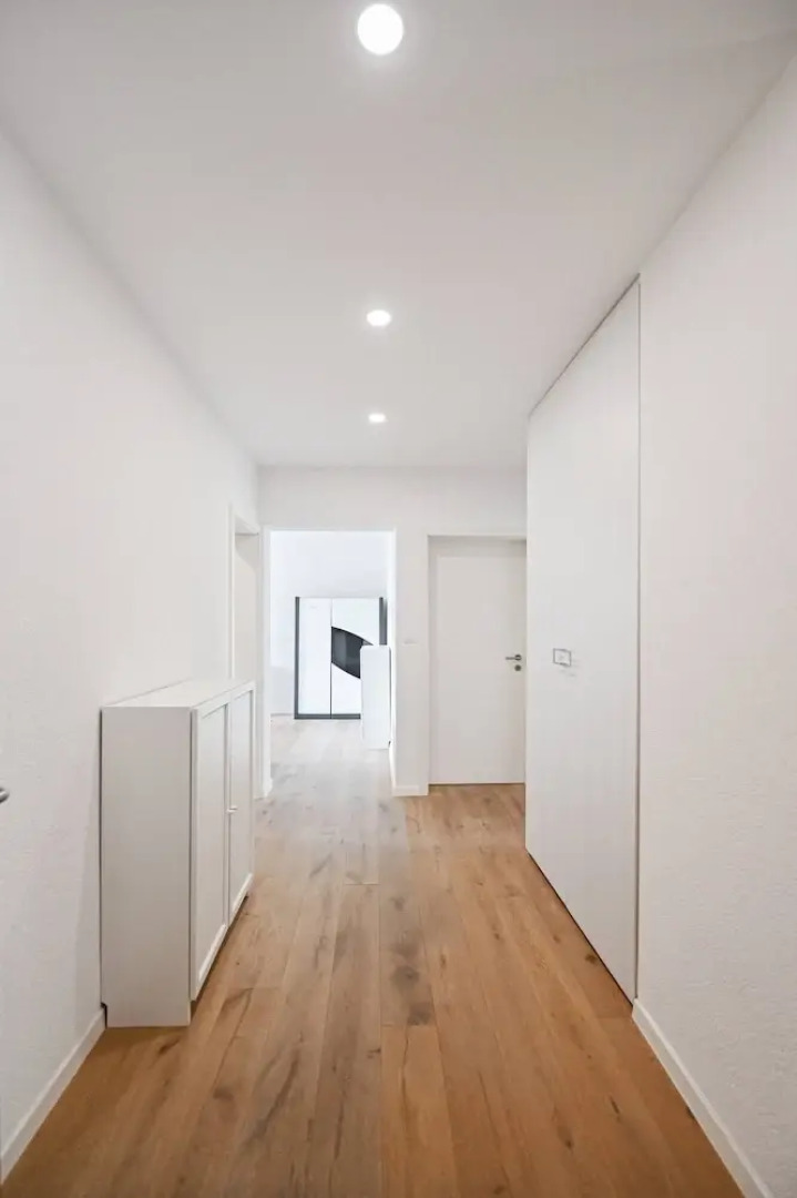 Lugano's Hills Lake View