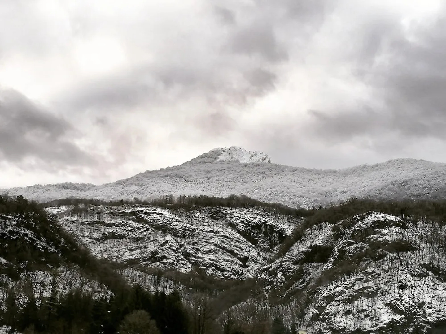 Narciso B&B Valbrona