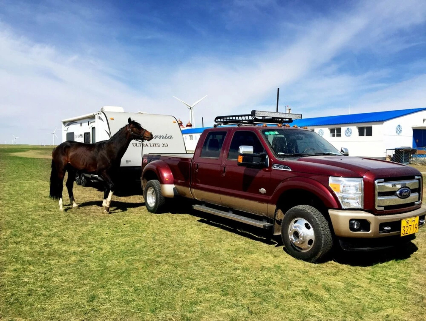 Xilingol Auspicious Horses