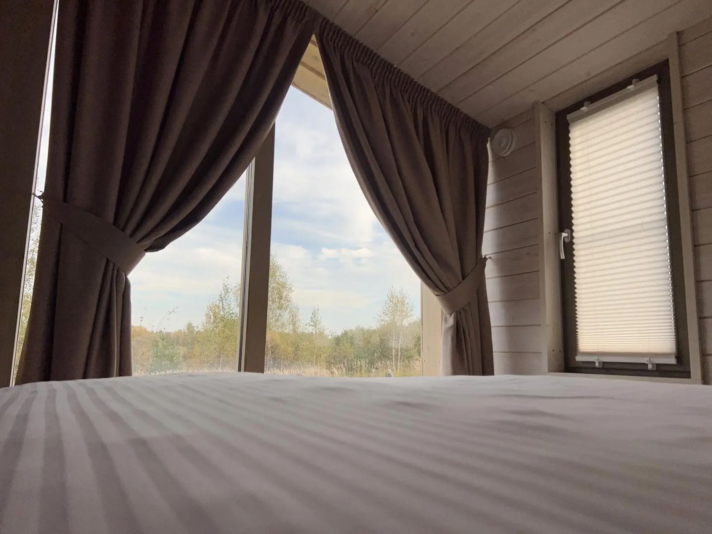 Оазис Завидово