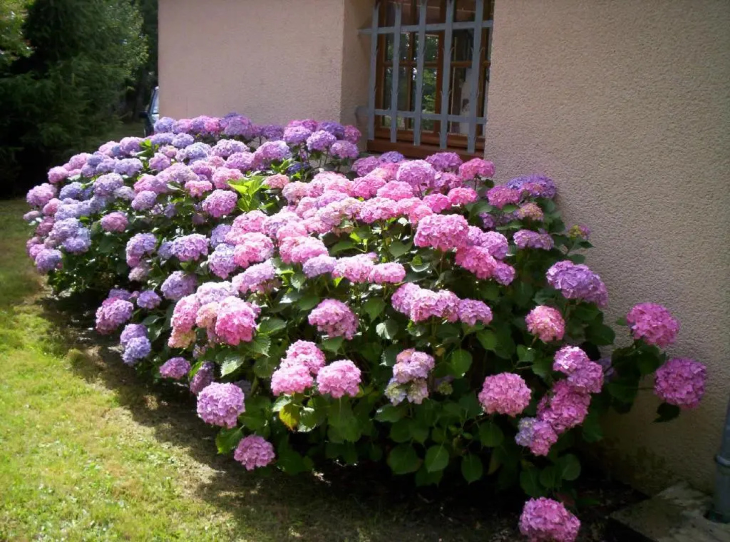 Maison de Vacances MACOU 2