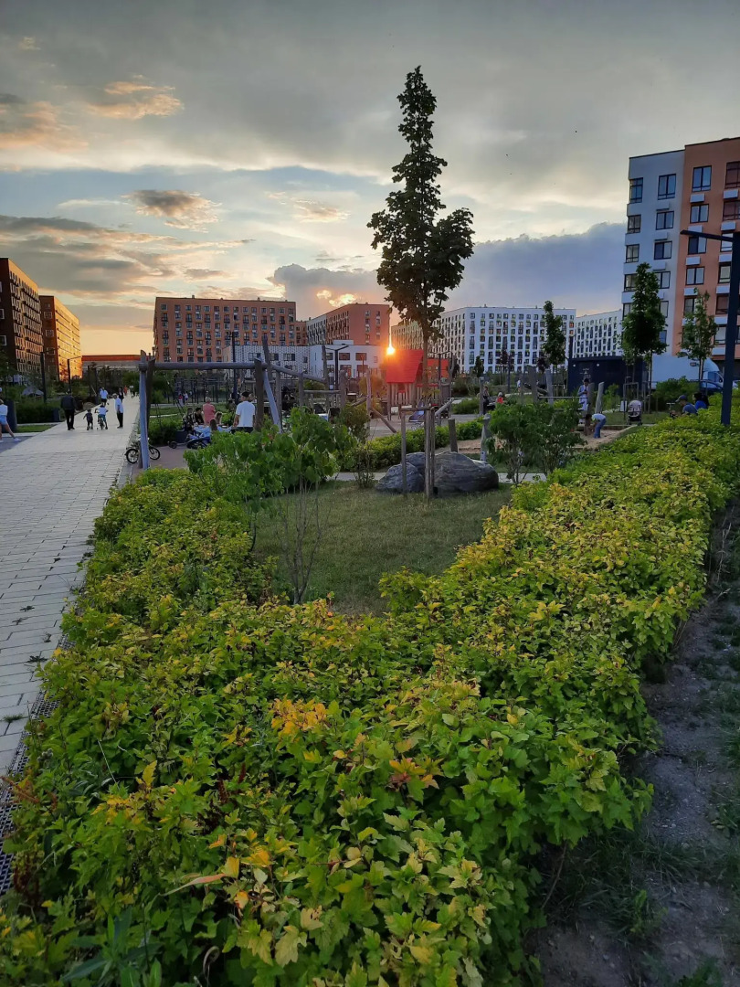 Апартаменты Зaпoведный дом на улице Заповедная