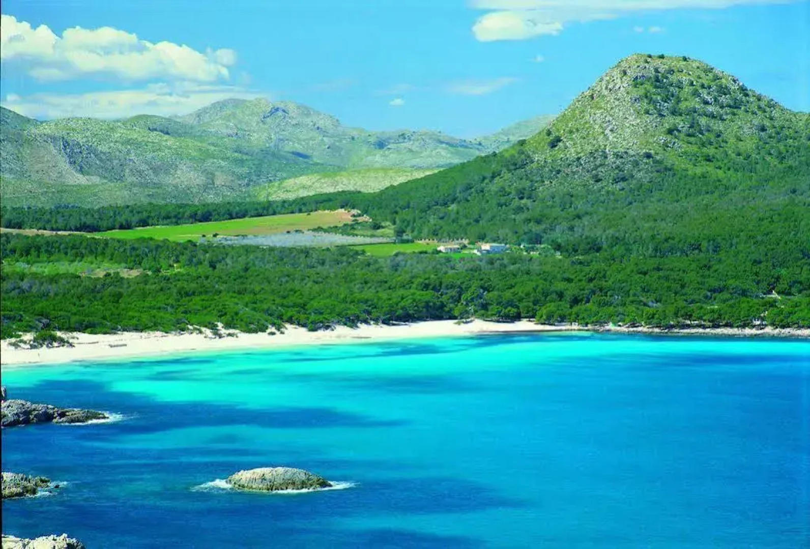 Apartamentos Ponent Mhm