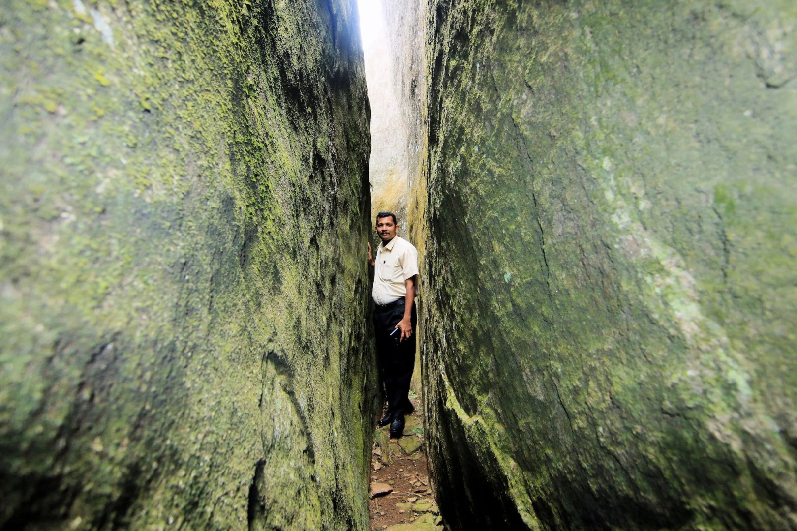 Punarjani Ayurvedic Resorts