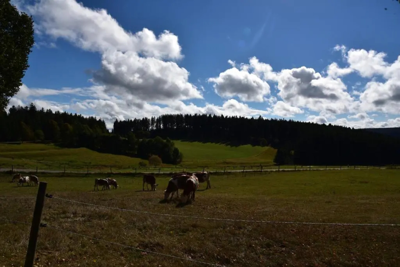 Apartment Eisenhauer in Schluchsee
