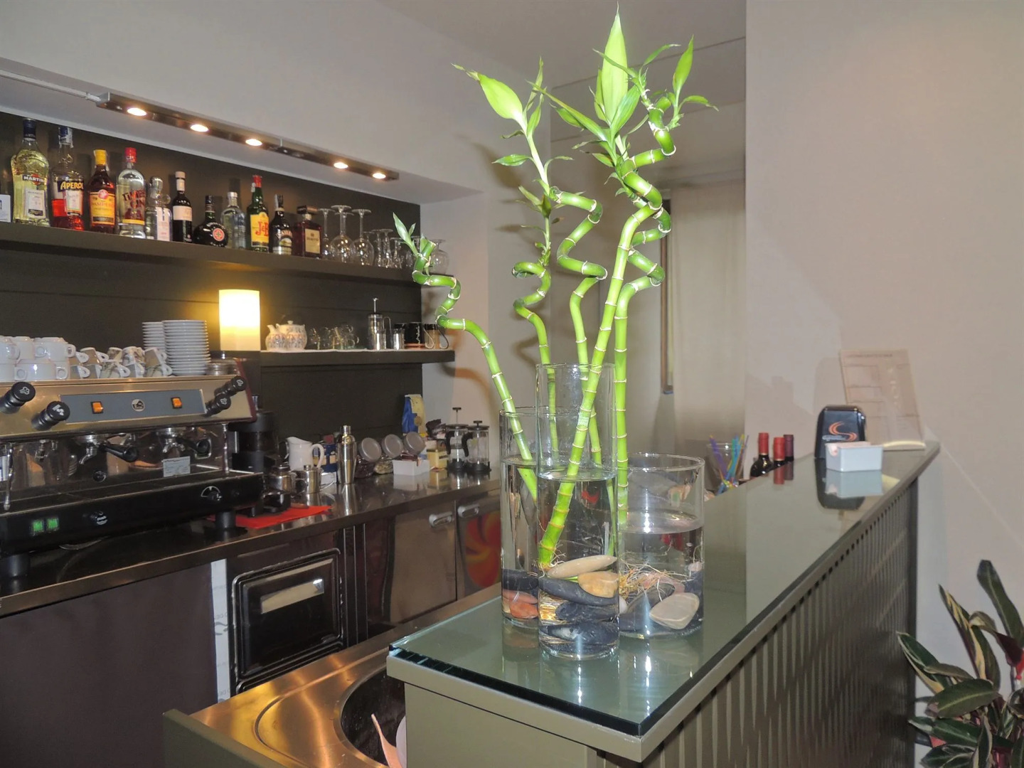 Hotel delle Terme & Spa